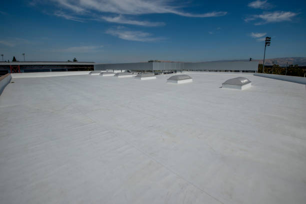 Best Roof Maintenance and Cleaning  in Crystal City, MO