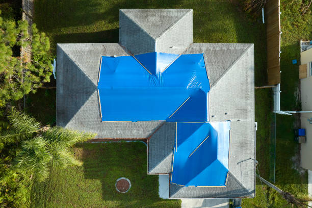 Best Roof Moss and Algae Removal  in Crystal City, MO