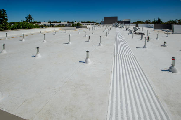 Best Roof Insulation Installation  in Crystal City, MO